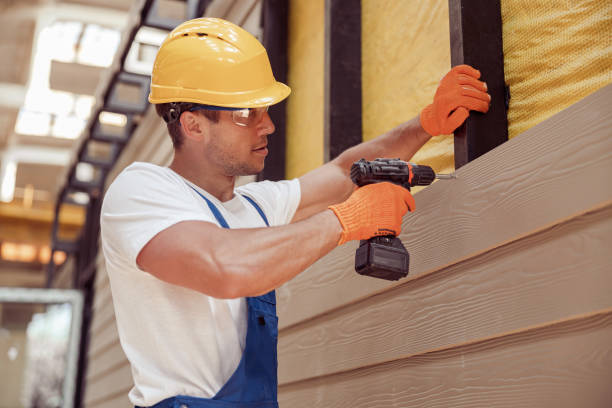 Best Siding Removal and Disposal  in Rapid City, MI